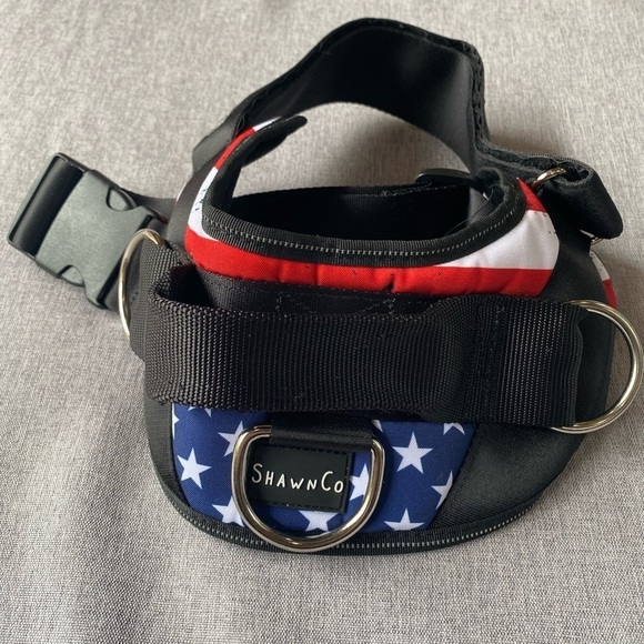 No-Pull Pet Vest with 3 Leash Clips, No Choke, Reflective, Adjustable and Padded - Picture 1 of 9